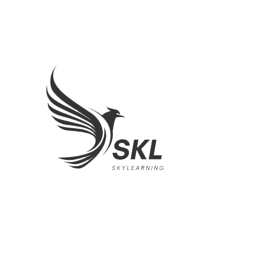 SKYLEARNING